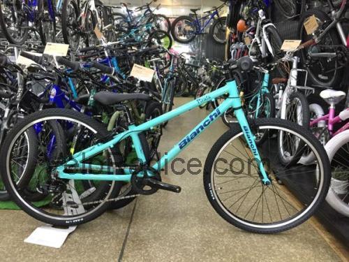Bianchi PIRATA 24 scheda tecnica e recensioni